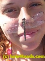 /home//u458753944/public_html/sourcegallery/////Insects and small critters/dragonflies and damselflies/P1070864.JPG